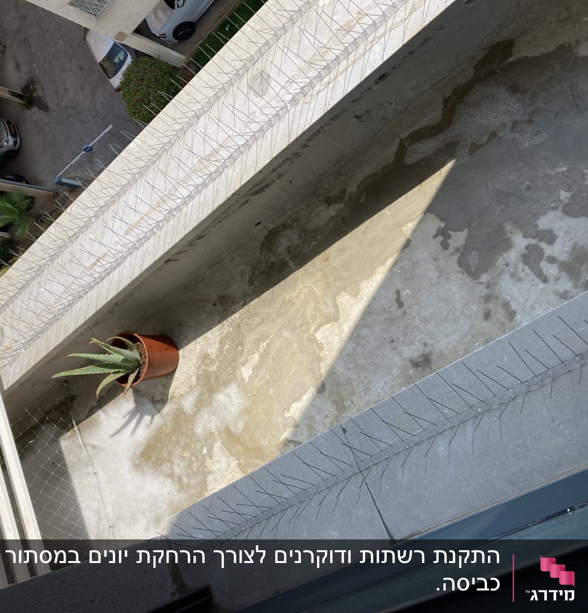 קוצים למניעת יונים על מעקה מרפסת